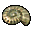 Olimarnite Shell