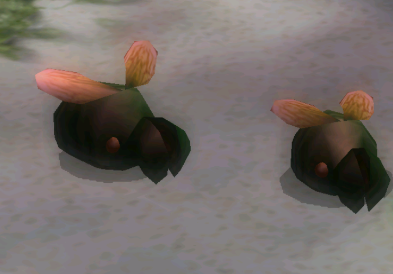 File:Two Shearwigs P2.png
