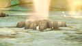The base of a fire geyser in Pikmin 3 while active.