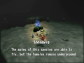 A Shearwig in Pikmin's enemy reel.