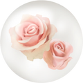 Thumbnail for version as of 00:49, May 11, 2025