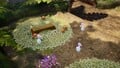 Three Honeywisps next to the Golden Vaulting Table in the Primordial Thicket.