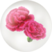 Red carnation nectar from Pikmin Bloom.