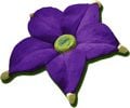 Clay art of the Violet Candypop Bud.