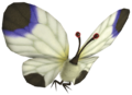 Artwork of a White Spectralids from Pikmin 3.