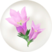 Red gentian nectar from Pikmin Bloom.