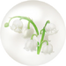 White lily of the valley/convallaria nectar from Pikmin Bloom.