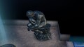 An alternative, more close-up, shot of the treasure in the location it is discovered.