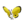 Yellow Spectralids