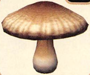 Artwork of the Anti-hiccup Fungus.